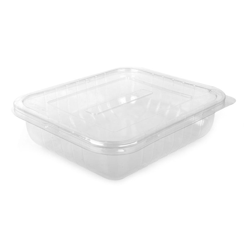 Utility Salad Tray with Lid