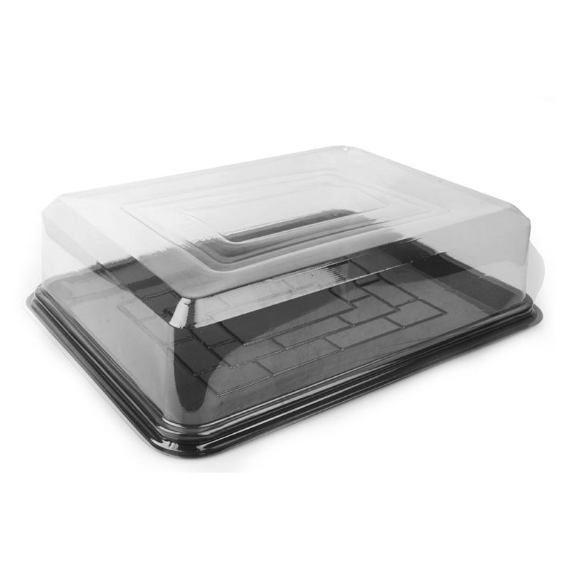 Rectangle Cake Dome and Base Combo